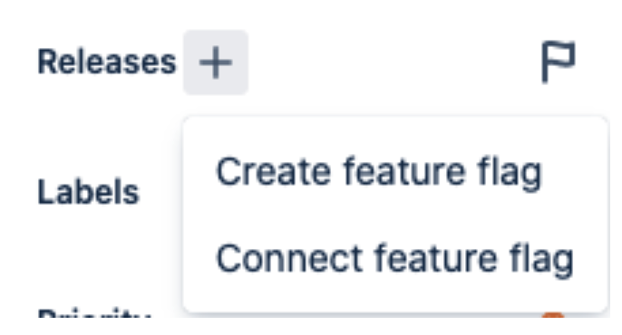 jira_feature_flag.png
